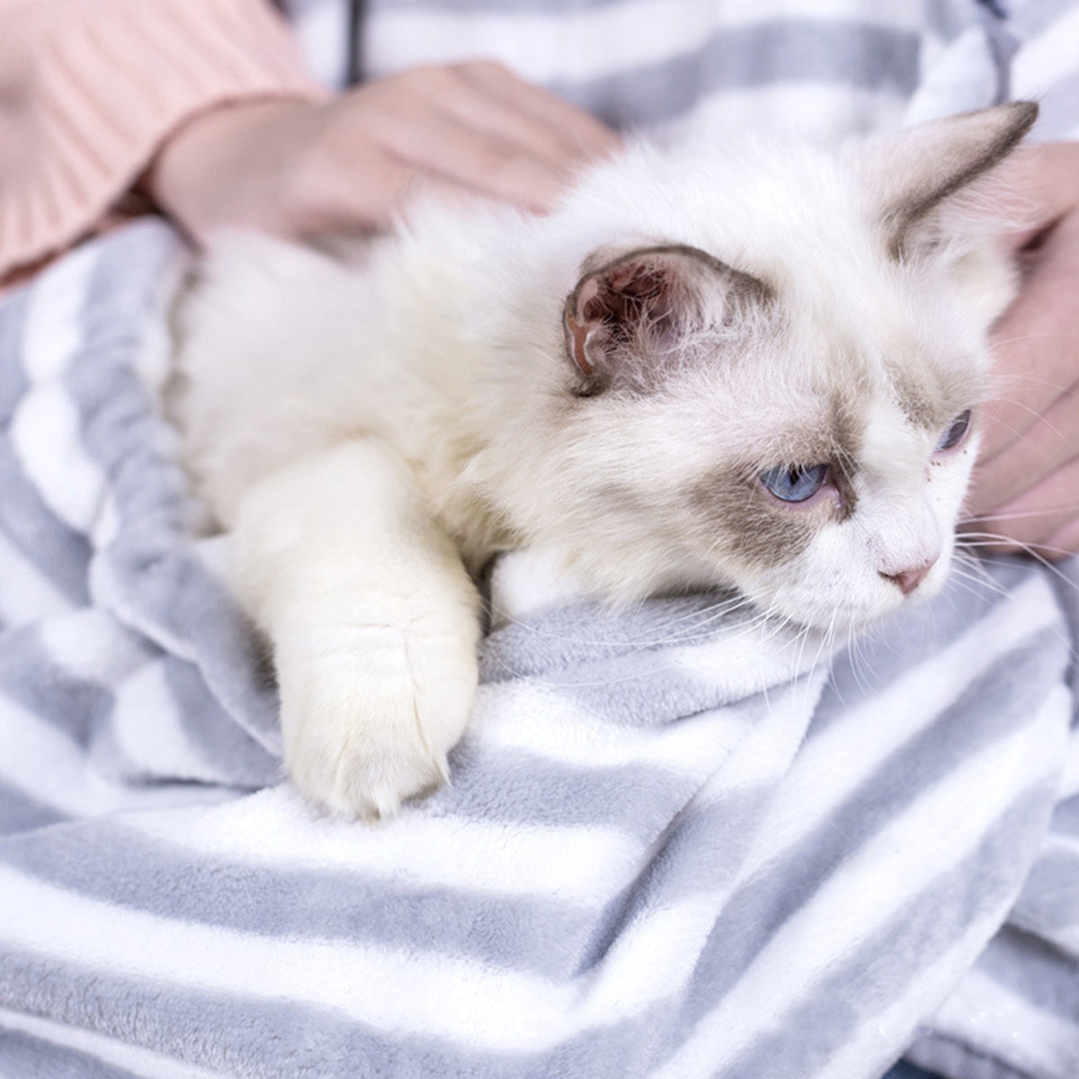 Washable Fleece Cat Apron With Pouch