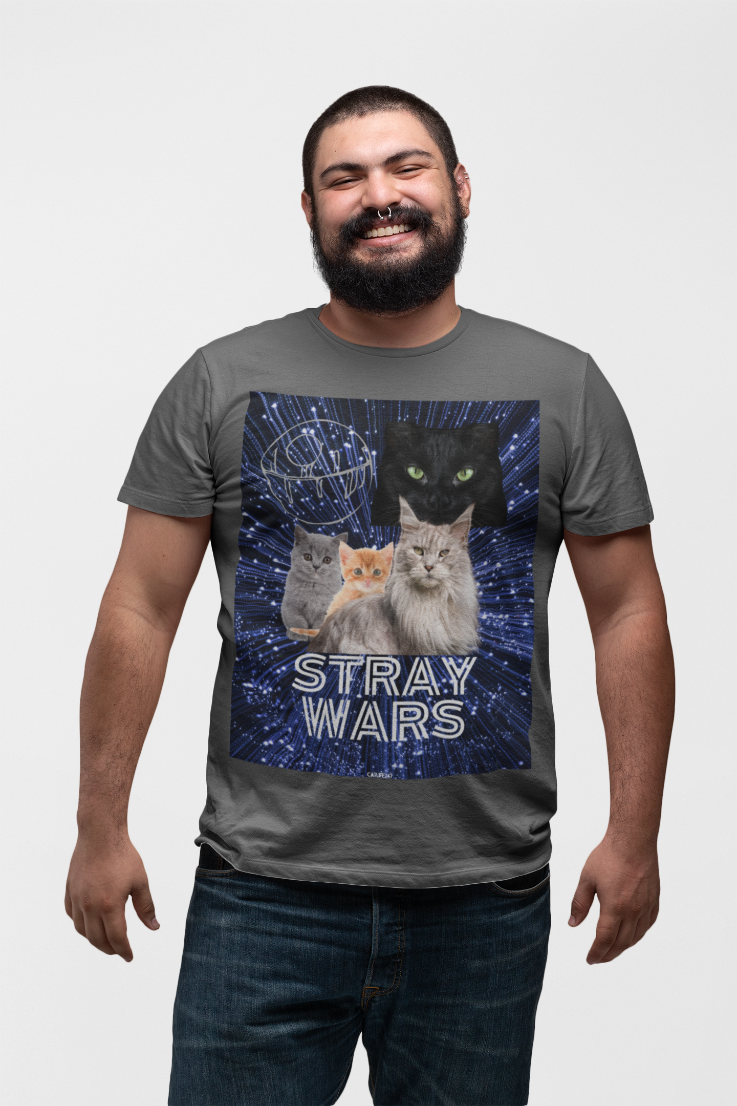 STRAY WARS