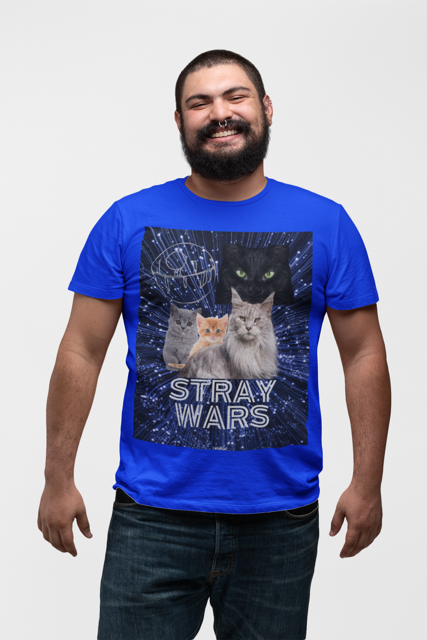 STRAY WARS